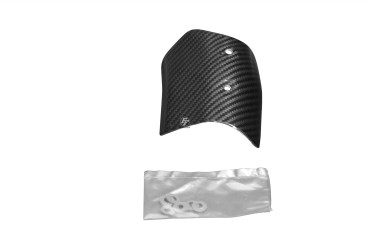 Carbon Auspuffverkleidung für Ducati 1098 / 1198 / 848 100% Carbon | Köper | Glossy