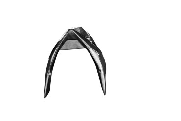 Carbon Bugspoiler Racing für BMW S 1000 RR 2019- / M 1000 RR 2021- Carbon+Fiberglas | Köper | Glossy