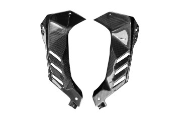 Carbon Cockpit Innenverkleidung für Kawasaki ZX-10R 2021- Carbon+Fiberglas | Leinwand | Glossy