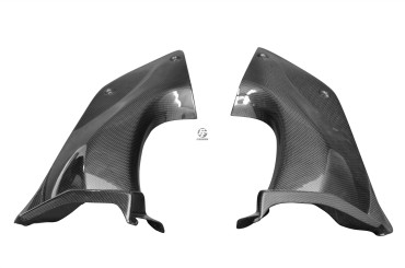 Carbon Cockpitverkleidung Seitenteile für Kawasaki ZZR 1400 / ZX-14R 2006-2011 Carbon+Fiberglas | Leinwand | Glossy