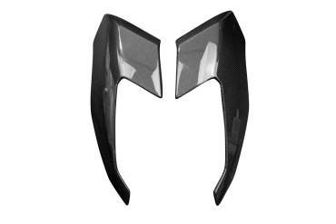 Carénage avant (parties latérales) Carbone pour BMW S 1000 XR 2020- Carbone+Fibre de Verre | Toile Contraignant | Brillant
