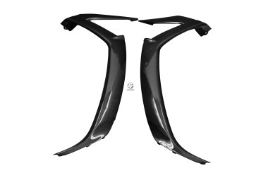 Carenatura anteriore Pannelli laterali Carbonio per Kawasaki ZX-10R 2011-2018 Carbonio+Fibra di Vetro | Tela | Brillante