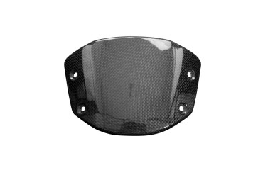 Carbon Frontverkleidung für Honda CB 1000 R 2021- Carbon+Fiberglas | Leinwand | Glossy
