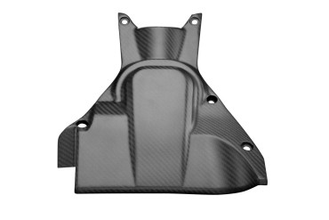 Arco de rueda Carbono por Ducati Diavel 2010-2018 Carbono+Fibra de Vidrio | Patron Enlazado | Opaco
