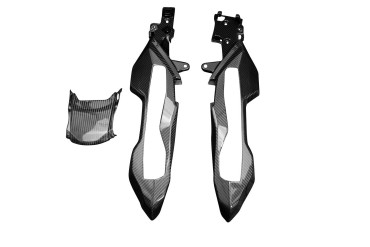Coque arrière (ensemble) Carbone pour BMW S1000XR 2020- 