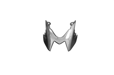 Coque arrière Carbone pour BMW S1000R 2014-2020 Carbone+Fibre de Verre | Toile Contraignant | Brillant