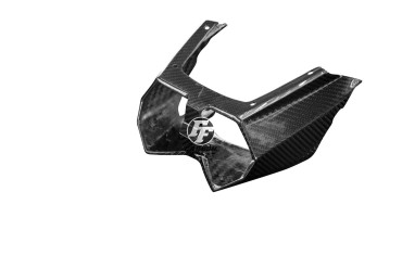 Coque arrière Carbone pour Kawasaki Ninja H2 SX/SE 2018- 100% Carbone | Toile Sergé | Brillant