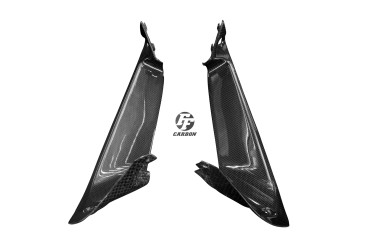 rivestimento interno Carbonio per Ducati Supersport 2017-2020 Carbonio+Fibra di Vetro | Tela | Brillante