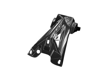 porta targa Carbonio per BMW S1000RR 2010-2018 / S1000R 2014-2020 Carbonio+Fibra di Vetro | Tela | Brillante