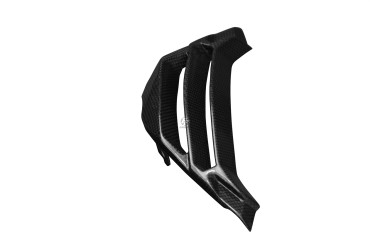 Cache radiateur Carbone pour BMW S1000R 2014-2020 Carbone+Fibre de Verre | Toile Contraignant | Brillant