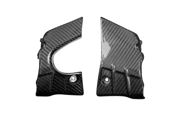 Carbon Lufteinlass Verkleidung für Honda CB 1000R 2018-2020 Carbon+Fiberglas | Köper | Glossy