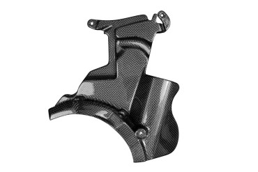 Carbon Motorabdeckung für Ducati Streetfighter V2 2021- Carbon+Fiberglas | Leinwand | Glossy