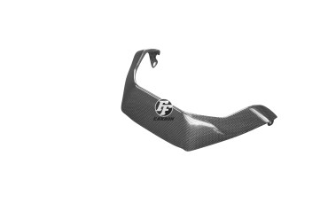 Coperchio del radiatore dell´olio Carbonio per Ducati Monster 1200 / 1200S 2014-2018 Carbonio+Fibra di Vetro | Tela | Brillante