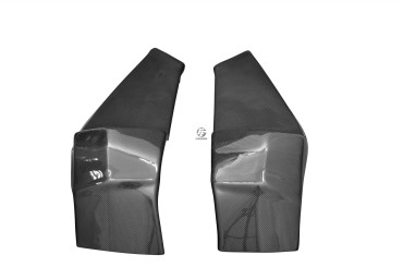 Guarda de marco Carbono por Buell XB9R / XB9S / XB9SX / XB12R / XB12S / XB12Scg / XB12SX Carbono+Fibra de Vidrio | Patron Sencillo | Brillante