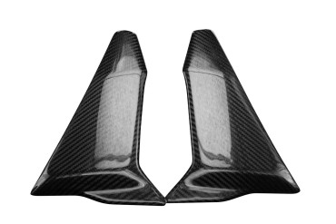 Carbon Seitenverkleidung für Ducati Hypermotard 950 2019- Carbon+Fiberglas | Köper | Glossy