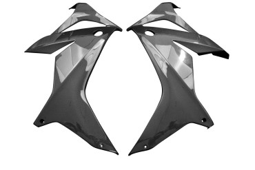 Carbon Seitenverkleidung für Honda CB 650 R / CBR 650 R 2019- 100% Carbon | Leinwand | Glossy
