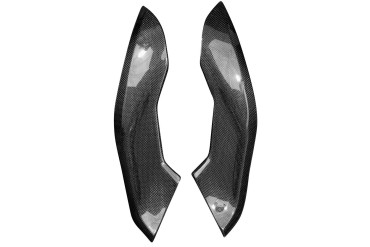 Carbon Seitenverkleidung unter Tank für BMW S 1000 RR 2019- Carbon+Fiberglas | Leinwand | Glossy