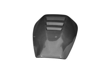 Capot de Selle Passager Carbone pour Aprilia RSV Mille 2001-2003 / Tuono 2002-2005 Carbone+Fibre de Verre | Toile Contraignant | Brillant