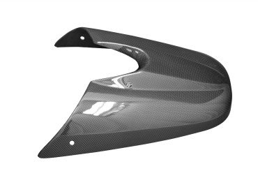 Cubierta de asiento de pasajero Carbono por Triumph Speed Triple 1050 2008-2010 Carbono+Fibra de Vidrio | Patron Sencillo | Brillante
