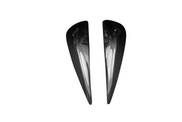 Carbon Tankverkleidung Seitenteile für Aprilia RS 660 Carbon+Fiberglas | Leinwand | Glossy