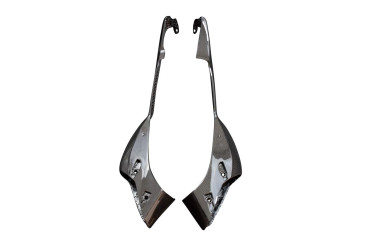 Carbon Tankverkleidung für Ducati Monster 937 2021- Carbon+Fiberglas | Leinwand | Glossy