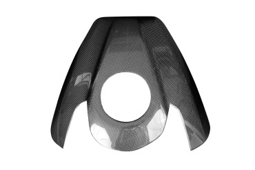 Carbon Tankverkleidung (hohe Version) für BMW S 1000 RR 2019- Carbon+Fiberglas | Leinwand | Glossy