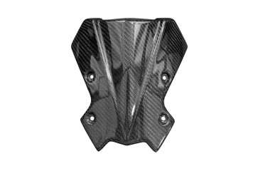 Carbon Windschutz (alternatives Design) für Kawasaki Z900 2020- Carbon+Fiberglas | Köper | Glossy