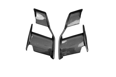 Carbon Winglets für BMW S 1000 RR 2019- / M 1000 RR 2021- / S 1000 R 2021- Carbon+Fiberglas | Leinwand | Glossy