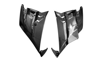 Carénage du Cadre Latérale intérieur Carbone pour Aprilia Tuono V4 2021- 100% Carbone | Toile Sergé | Brillant